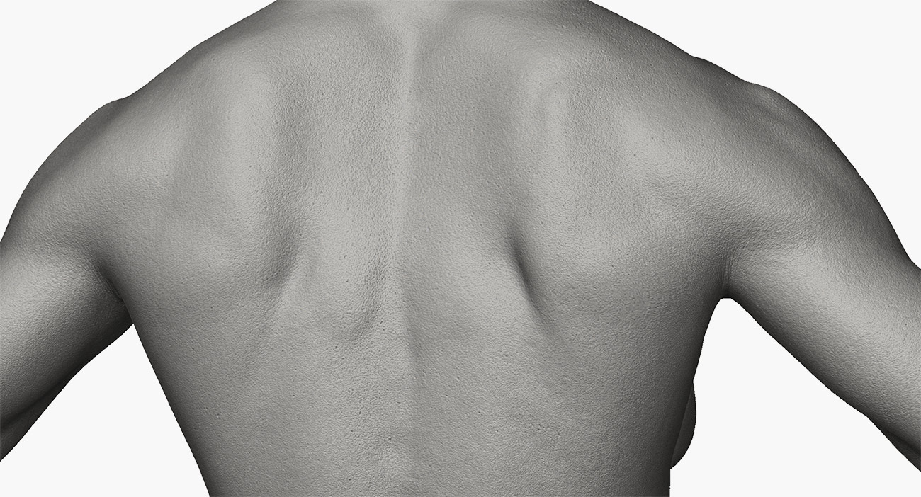 Retopolosied female 3d model for zbrush download